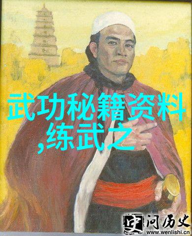 中国30个武术门派大全疯狂社会中的拳种力量