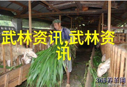 身法秘籍解密揭开传统武术修炼的奥秘