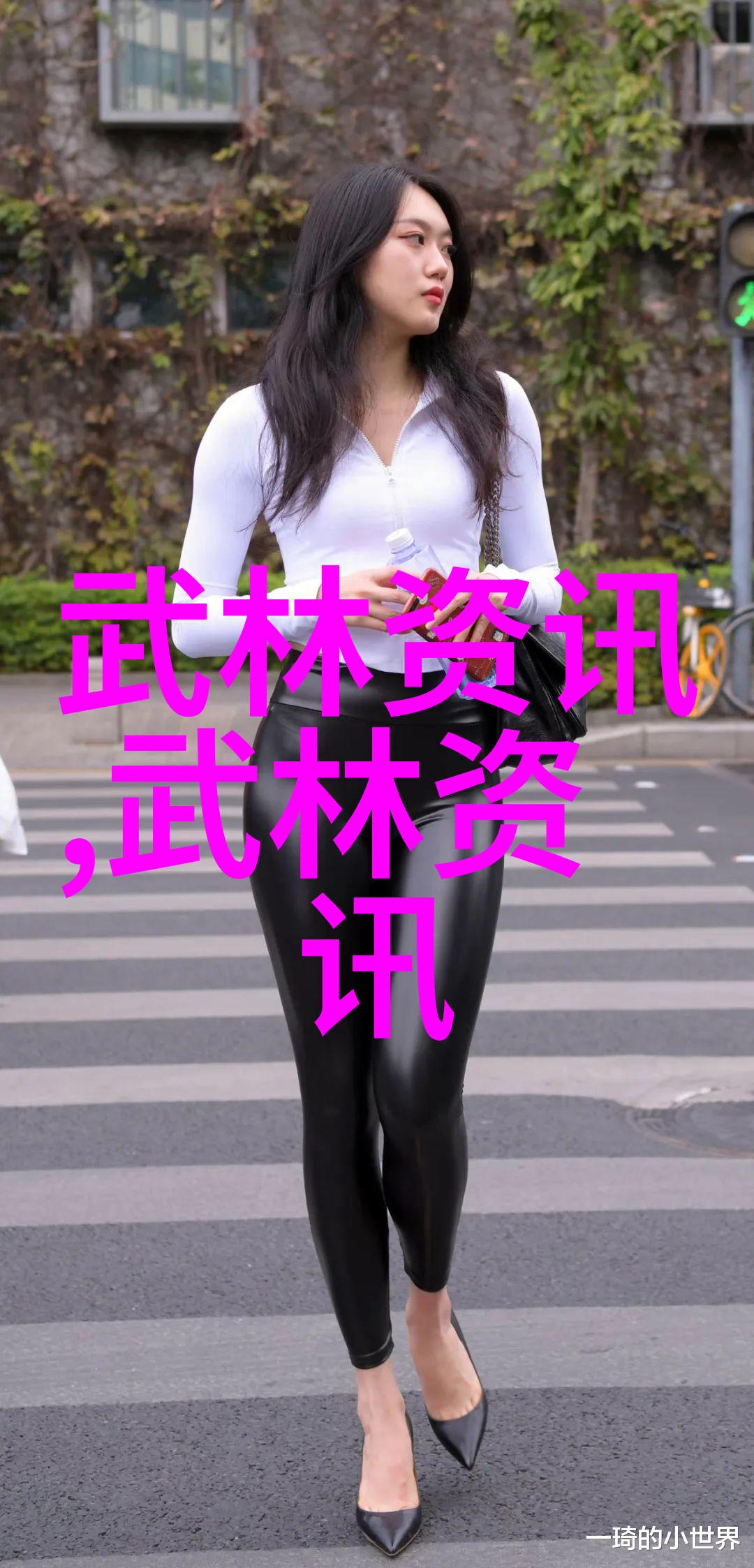 书剑恩仇中国外家拳流派史话回顾