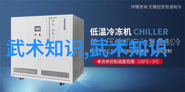 武林中最神秘的功法是什么