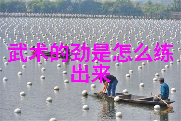 武功自学教学视频掌门人指引内家绝技
