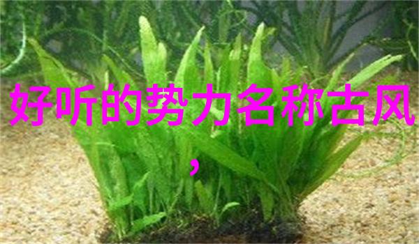 全球黑帮霸主暗影帝国的崛起与下降