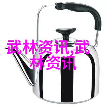 中国功夫秘籍大全揭秘内家拳法的精髓与应用