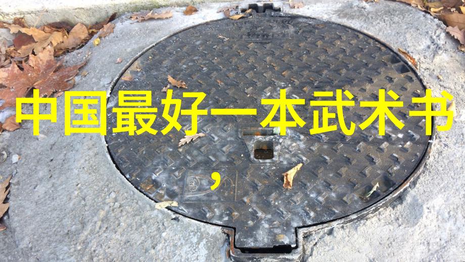 小李子健身秘籍揭秘强健腿部的魔法