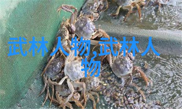 剑道精华探秘中国十大剑法的独到之处