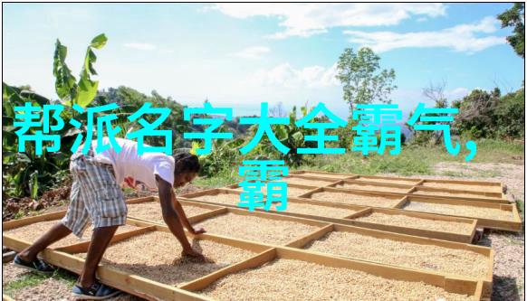 内功外化深入探索武术的12大核心技巧