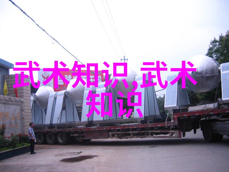 金庸武林中的奇门遁甲探秘武功之神秘名称背后的文化象征