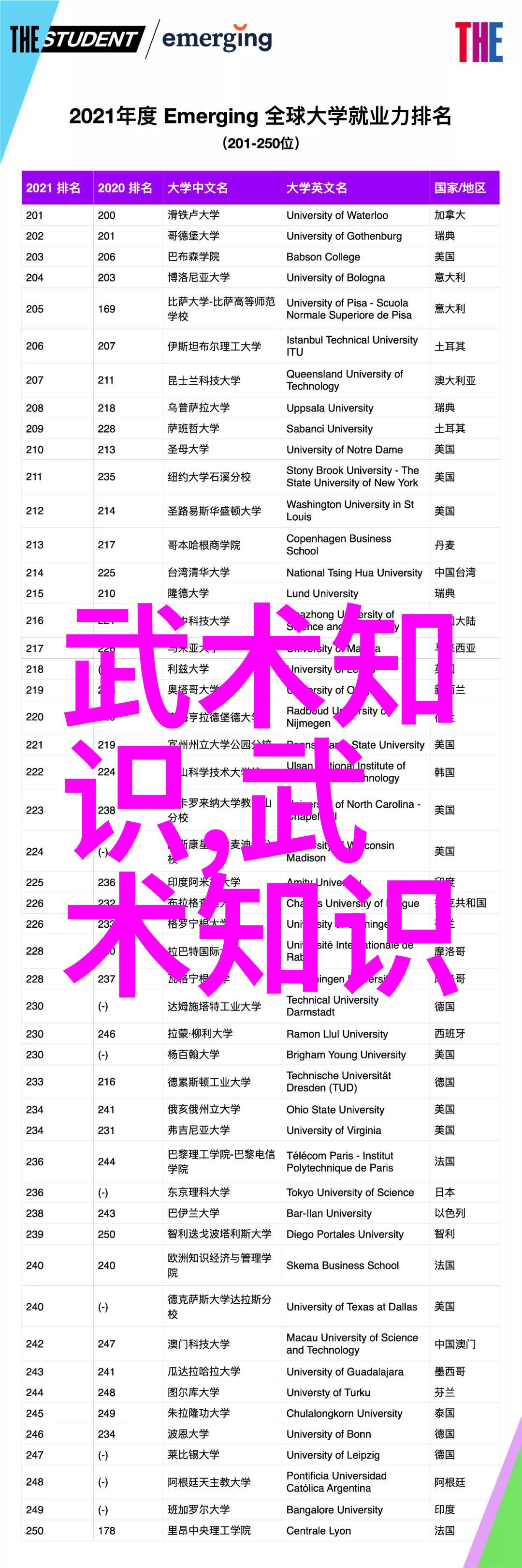 武术是完善自我的技术-雷生霖