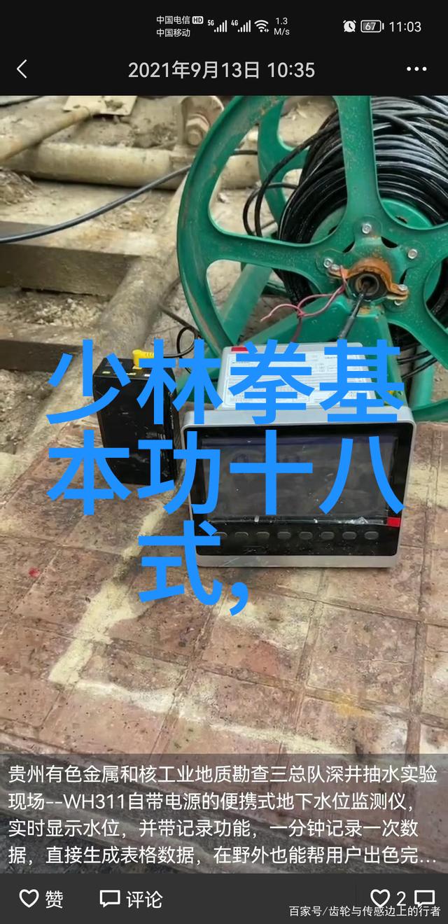 古风佳境家族谱系的绚丽篇章
