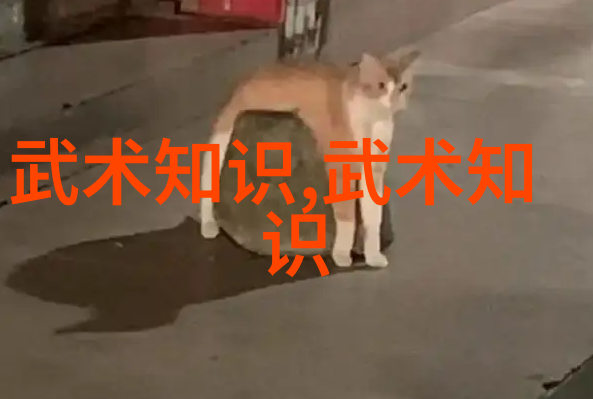 山东女排逆袭淘汰辽宁王一梅 死或生沙滩排球2在自然风光中激战