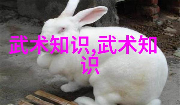 少儿武术启蒙挥拳的童心