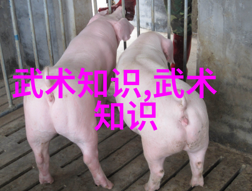 哪个门派武功最厉害我看过的那些高手揭秘武林各大门派的绝技