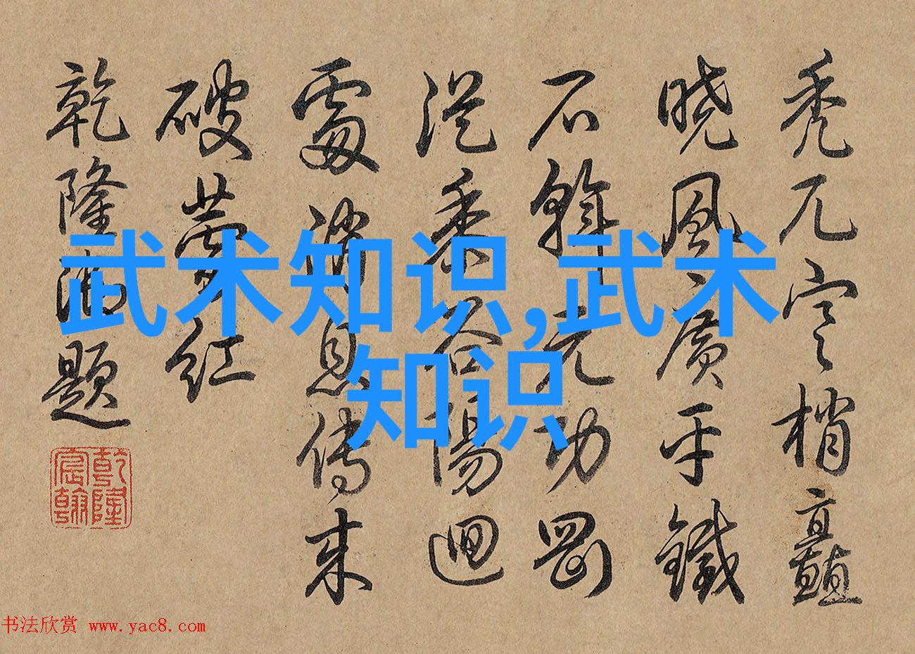 王文贤讲解太极拳套路的核心要素与基础武功秘籍反复探究其精髓