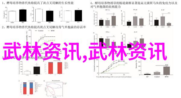 二佛之旅他们是否拥有超越凡人的智慧