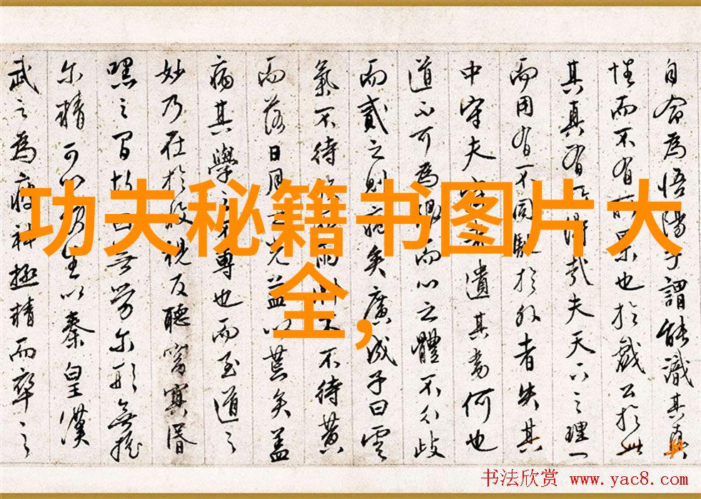 拳法秘籍悟透内劲掌握无形之手