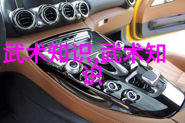 动手实践学习中国十大武术的基本招式与技巧