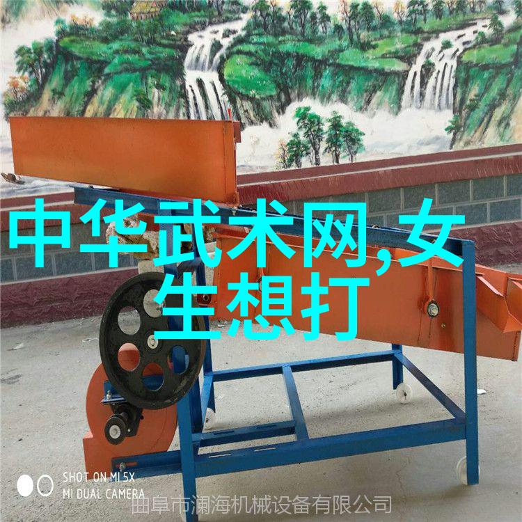 古风剑法秘籍剖析江湖中流传的古典剑法名称与其背后的武学哲学