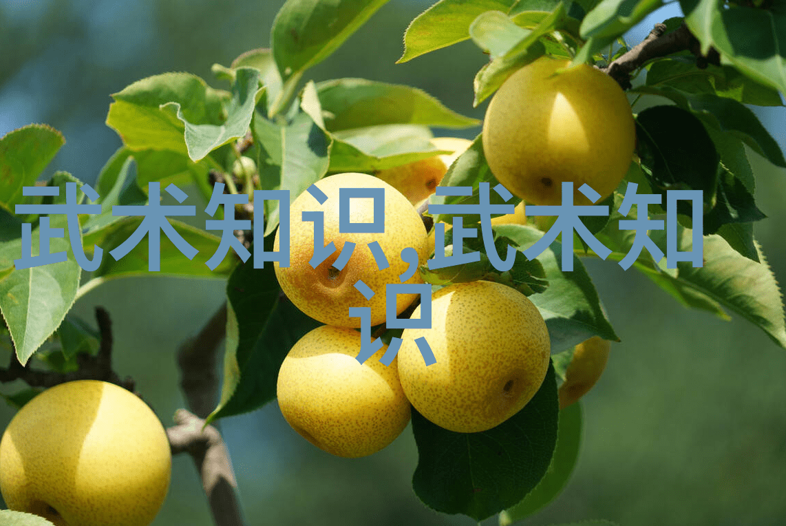 在家练武简单易行的武术训练教程