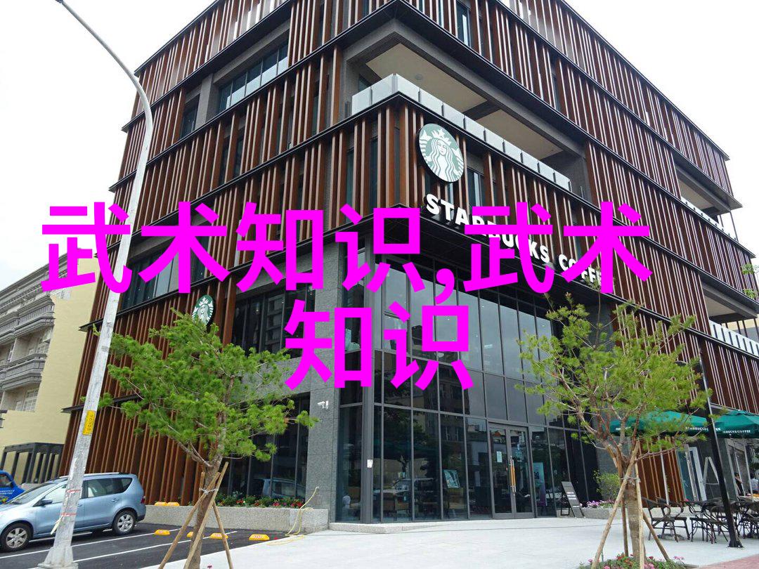 中国体系最庞大的武术门派-龙虎山道传承千年的中华武学巨匠