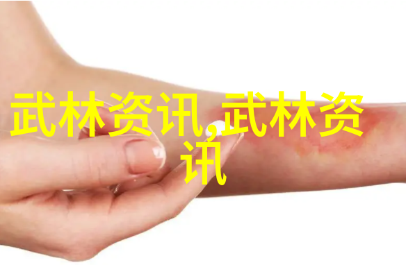 春风拂面拳法独秀咏春拳法探秘
