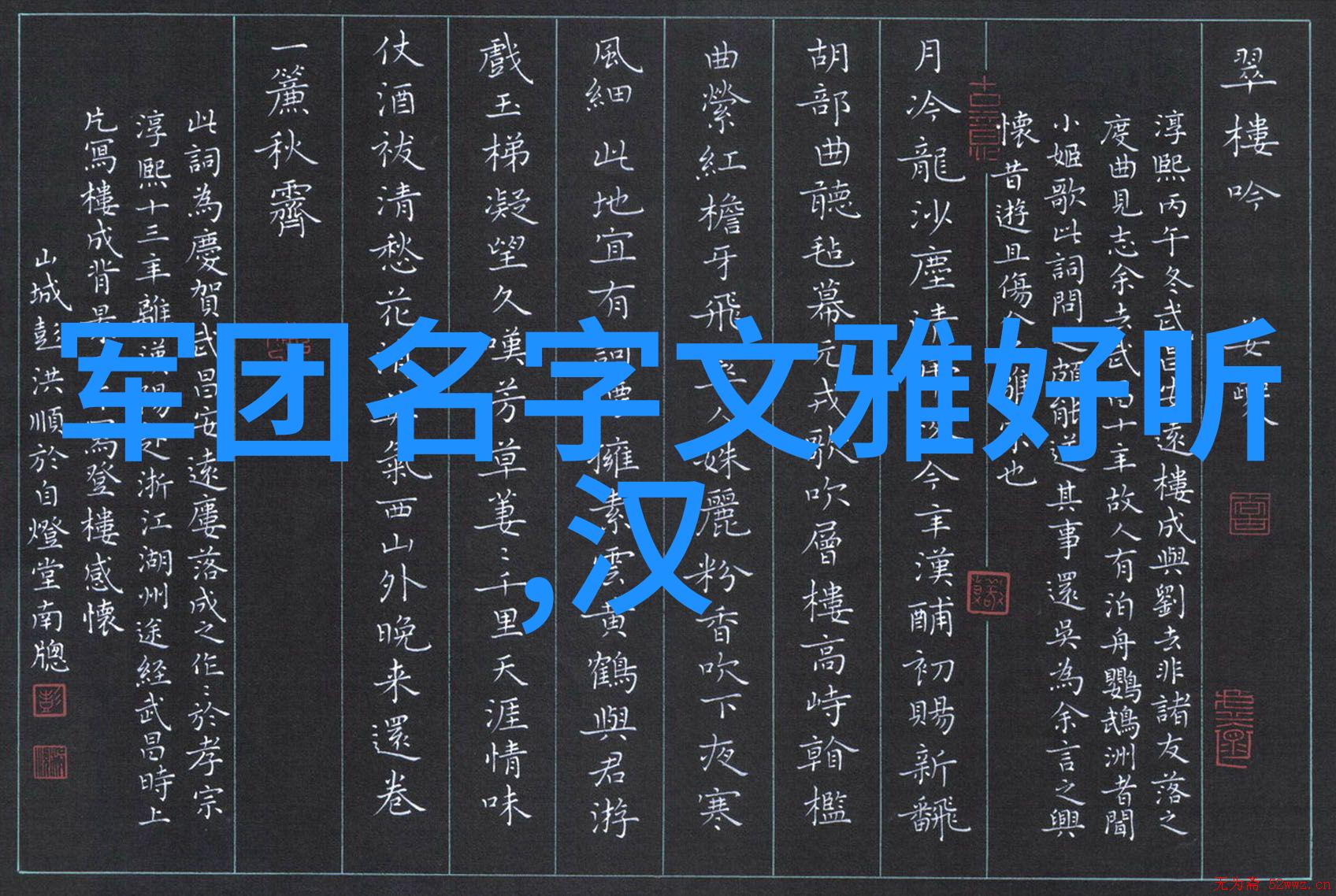 武当松溪神意派古风诗意联盟内家拳