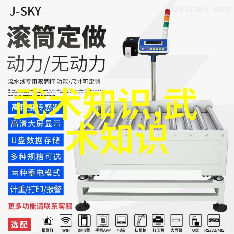武术文化发展的两点浅见-康天成