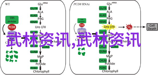 深度开发1v6笔趣阁探索奇幻世界的奥秘与挑战