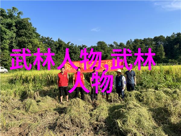 武林秘籍李小龙的内家外派技艺