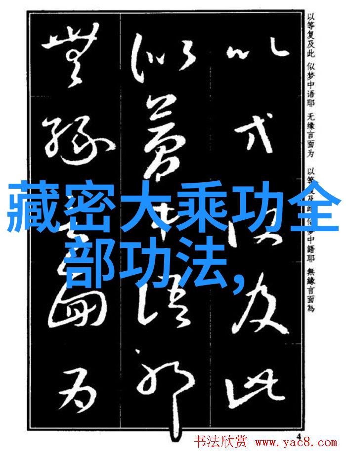 了解太极拳中的一阴一阳概念及其在正面和背面的体现