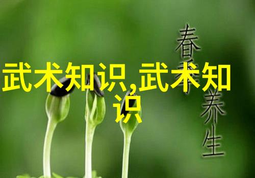 除了打斗技巧武林秘籍还教会了什么其他重要技能或知识呢