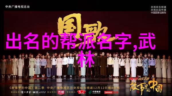 张圣麒的太极24式是不是已经掌握了正面与背面的定势