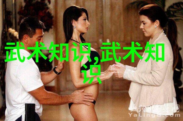 武当拳法中国古典武学的精髓
