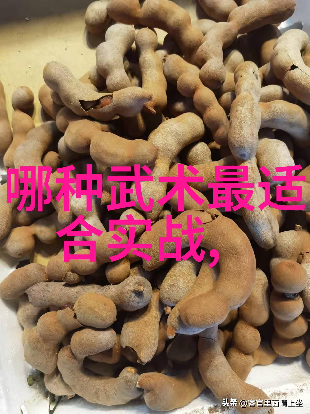 在站桩之中寻找春风的秘密咏春拳法中的骨髓洗练