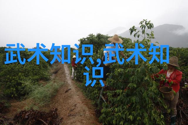 情感共鸣用诗来表达你的梦想与愿望选择合适的公会名称技巧