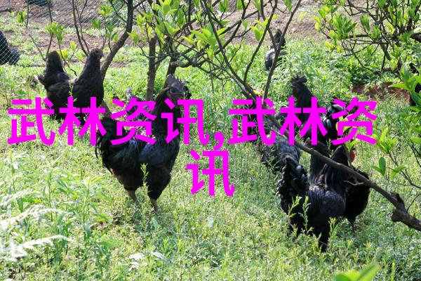 师傅不可以老板叫我给你打听点风向
