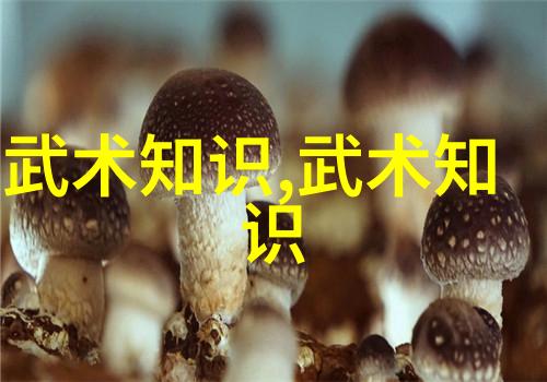 中国30个武术门派大全中的程派高式八卦掌又是什么样的
