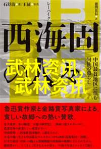 古老的拳脚与现代科技的碰撞