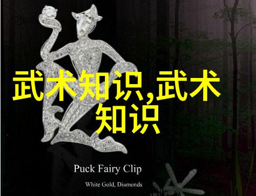 太极拳24式实践指南一步步解析与修炼