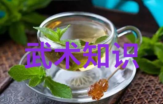 古武之巅探秘中华武学的极致