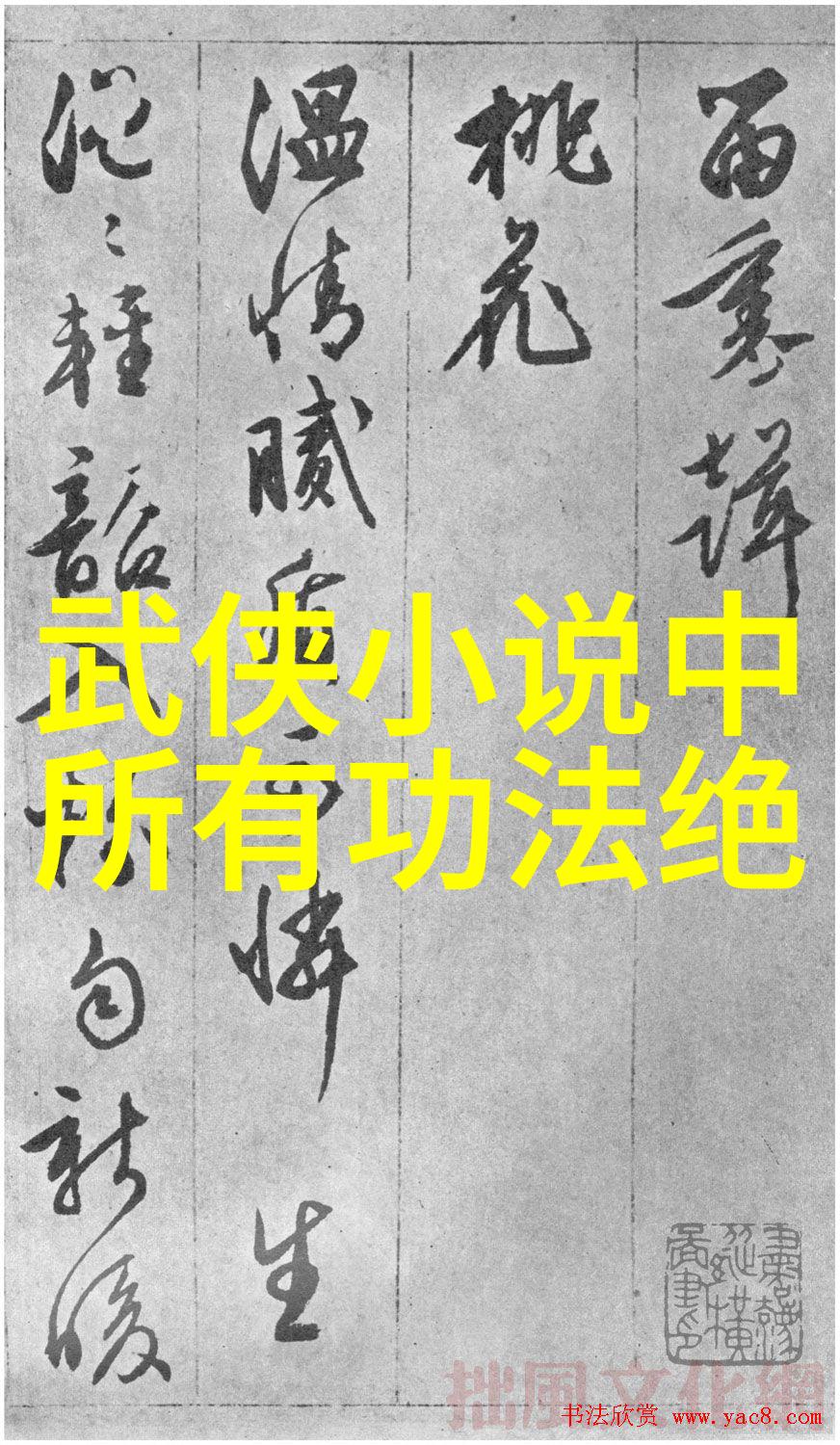 武林秘籍大全-揭秘千年武学武林秘籍大全的奇妙世界
