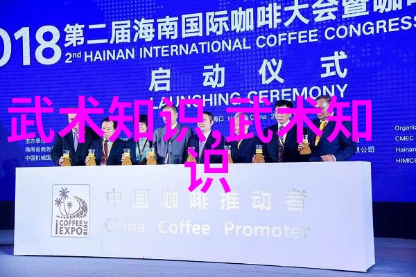 太极拳的哲学简易24式解析