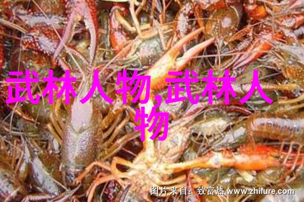 中国武术秘籍书-隐世拳谱揭秘中国武术古老秘籍的传承与实践