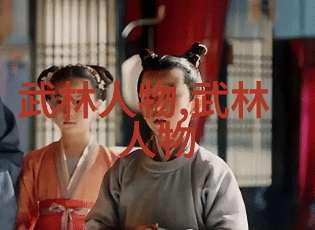 仙盟古韵武术流派的唯美比喻