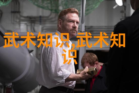 在中国武术作为文化遗产被保护了多久