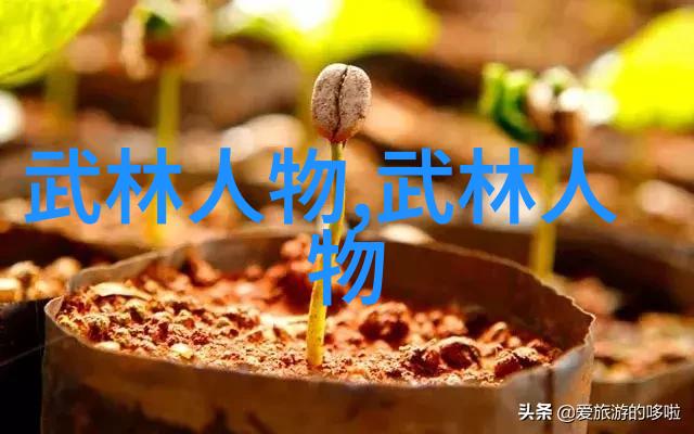 古代最强武功剑雨如霜云游四海