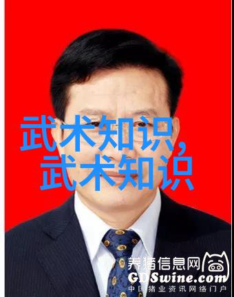 武当松溪神意派古风好听的内家拳势力