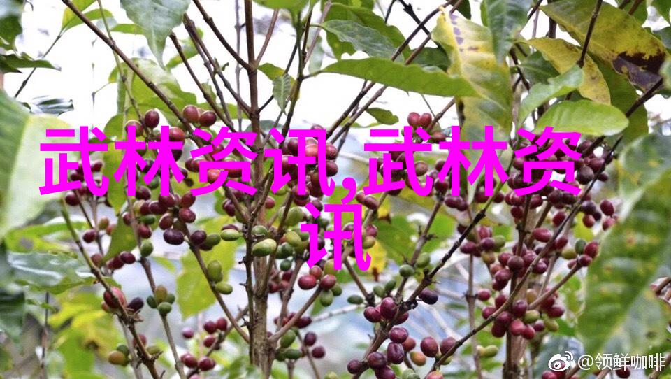 武林秘籍揭秘形意拳各派的实力强弱