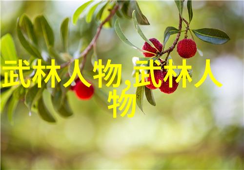 中国武术流派大全中华武术的丰富多彩