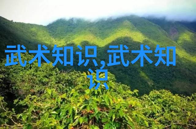 古籍失传少林武功秘籍的末路之谜