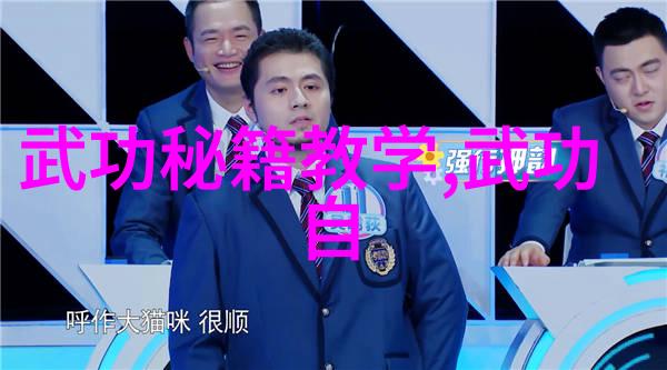 武林正宗深入剖析中国武术十大门派特点